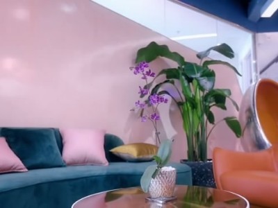 西麗辦公室員工裝修-綠植租賃案例 辦公室裝修綠植租賃