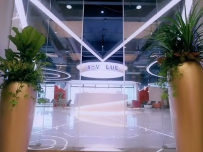 西麗辦公室員工裝修-綠植租賃案例 辦公室裝修綠植租賃